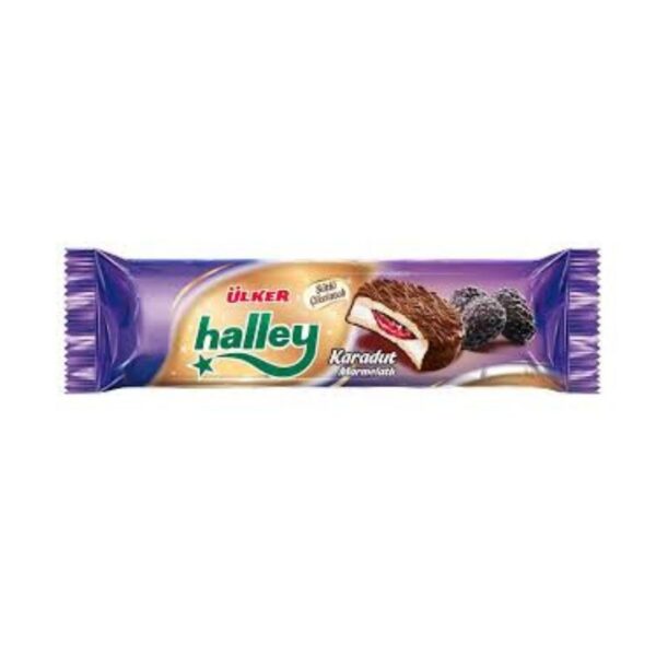 HALLEY ULKER BLUBERRY 74G*24